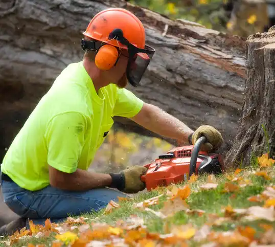 tree services Fosston